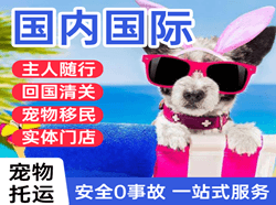 东极航空邮寄国际宠物托运 【国